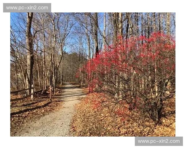 数据驱动的健身之路：让健身数据变成可持续的成长